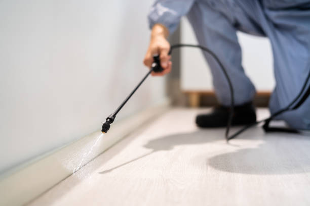 Licensed Termite Control service in Lanier County County, GA - Nex Pest Control