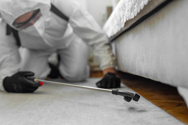 Professional Termite Control technician working in Lanier County County, GA